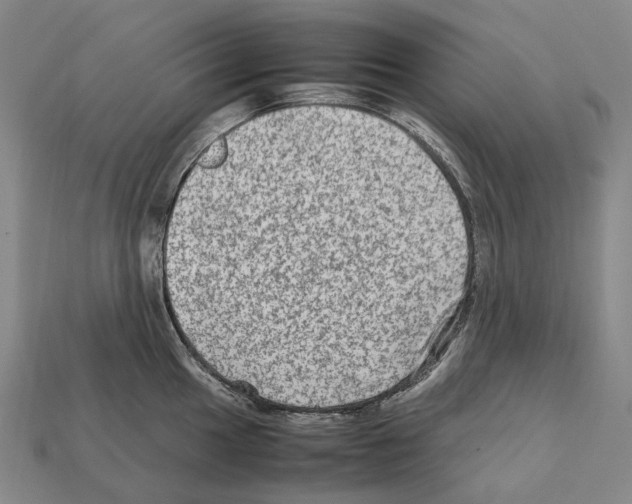 X0000111901049200909071132