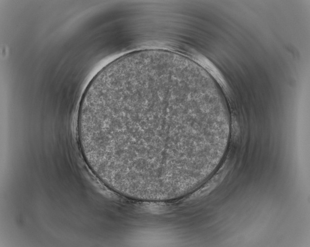 X0000111901052200909071132