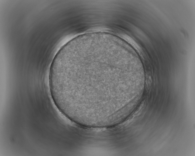 X0000111901055200909071132