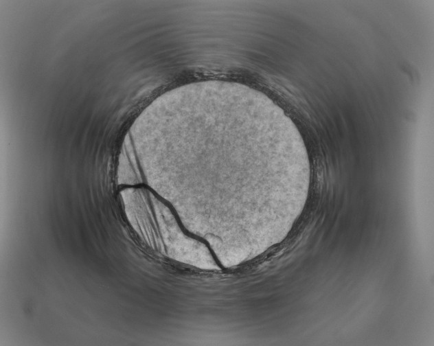 X0000111901060200909071131