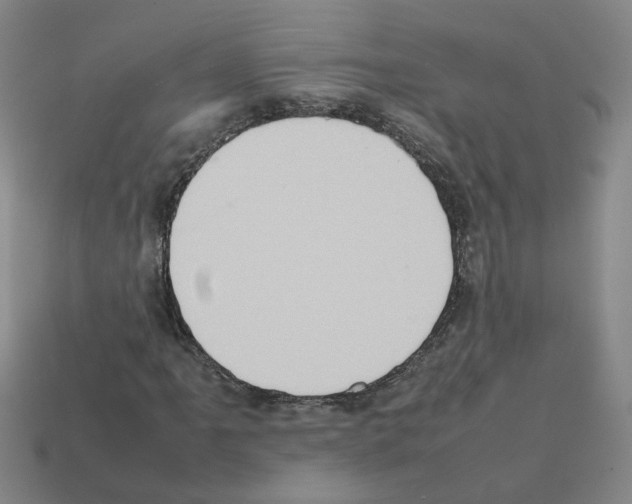 X0000111901061200909071131