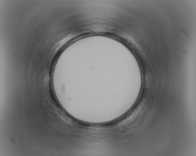 X0000111901065200909071131