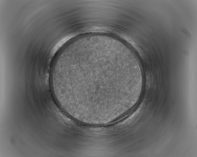 X0000111901066200909071131