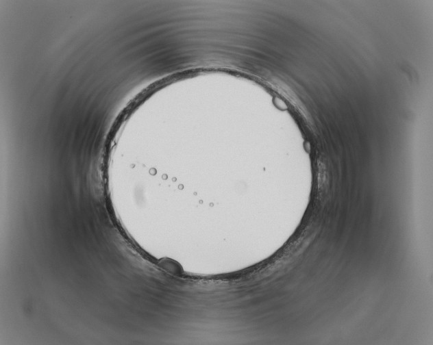 X0000111901068200909071131