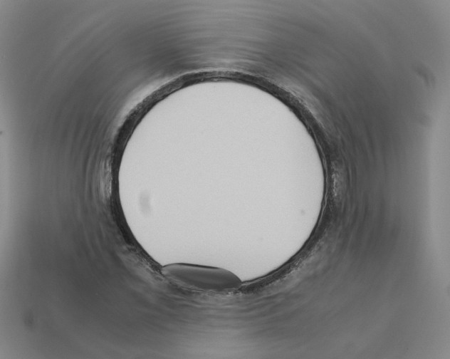 X0000111901069200909071131