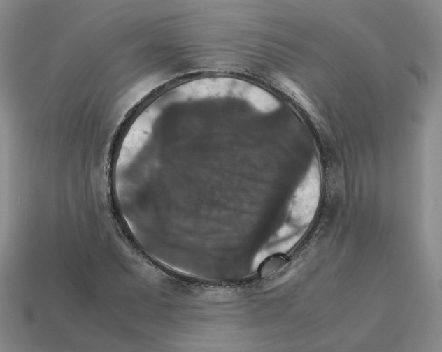 X0000111901071200909071131