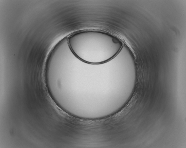 X0000111901072200909071131