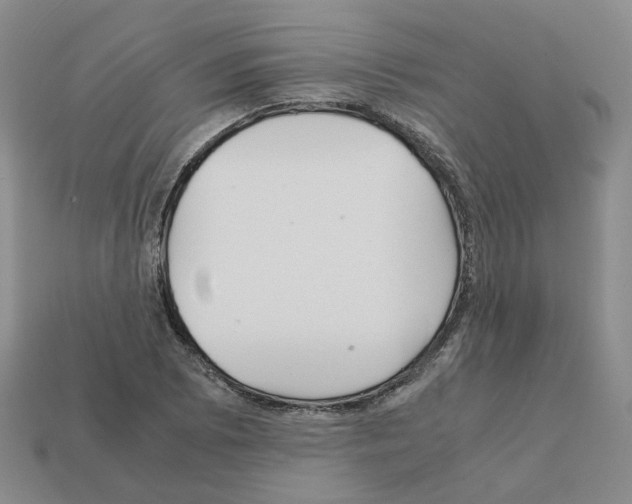 X0000111901073200909071131