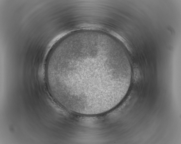 X0000111901074200909071131