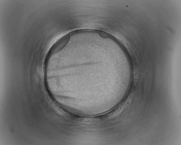 X0000111901077200909071131