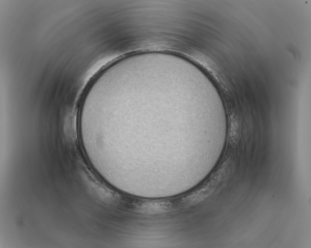 X0000111901078200909071131