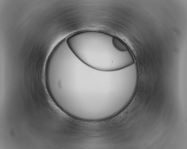 X0000111901080200909071131