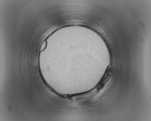 X0000111901081200909071131