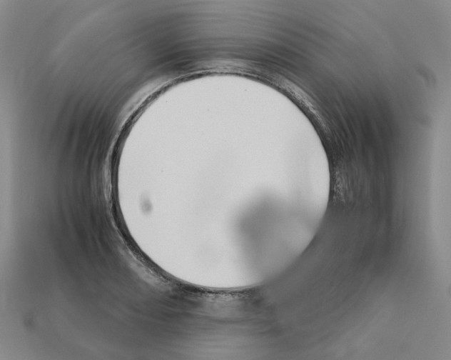 X0000111901082200909071131