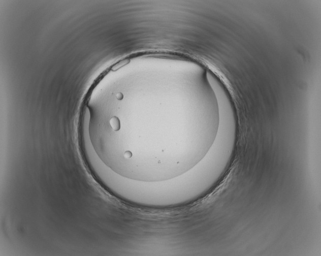 X0000111901085200909071131