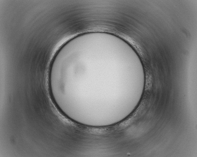 X0000111901086200909071131