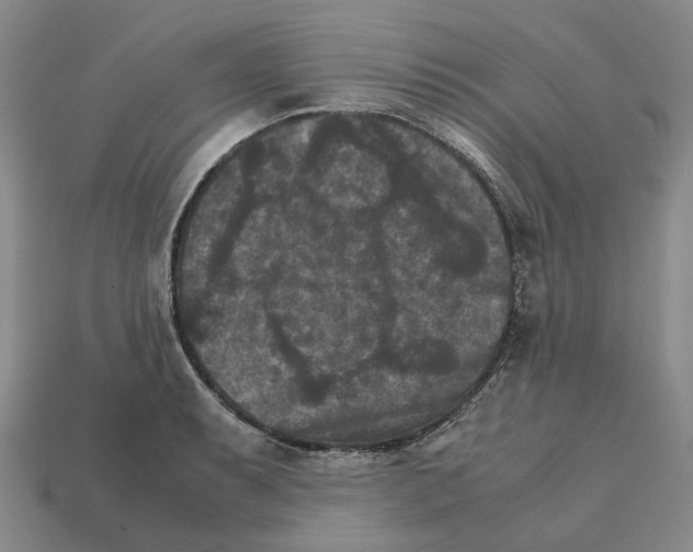 X0000111901087200909071131