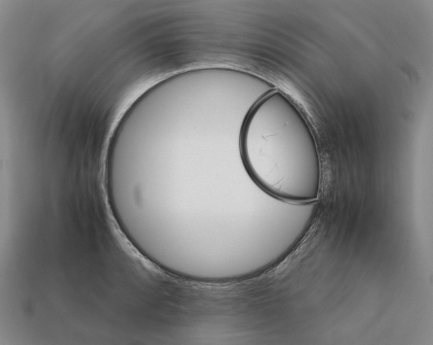 X0000111901088200909071131