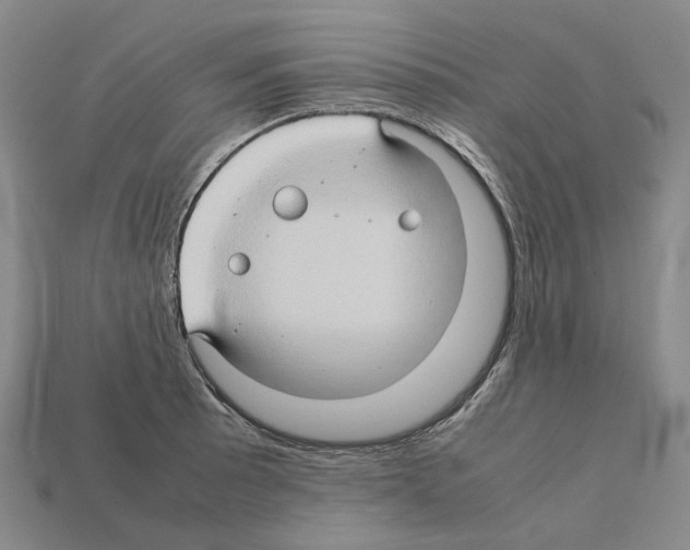 X0000111901089200909071131