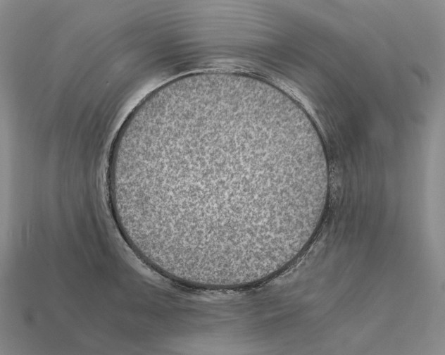 X0000111901091200909071131