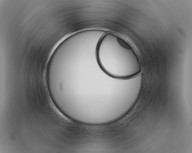 X0000111901092200909071131