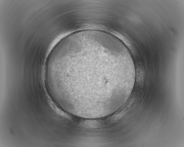 X0000111901094200909071131