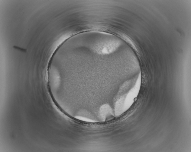 X0000111901095200909071131