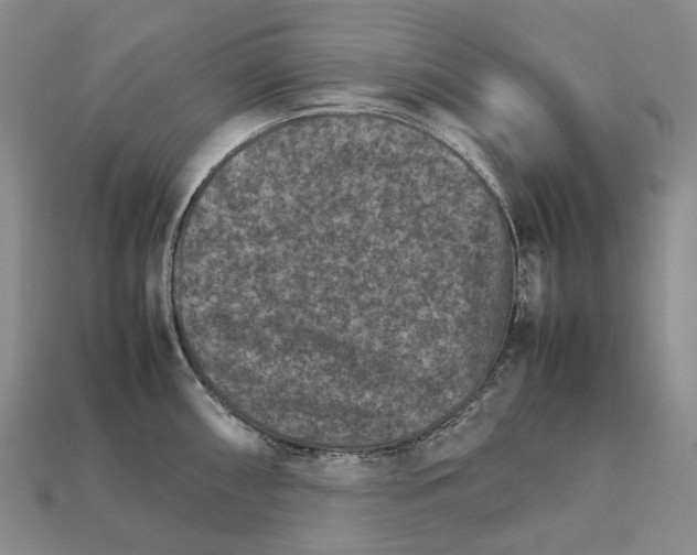 X0000111901098200909071131