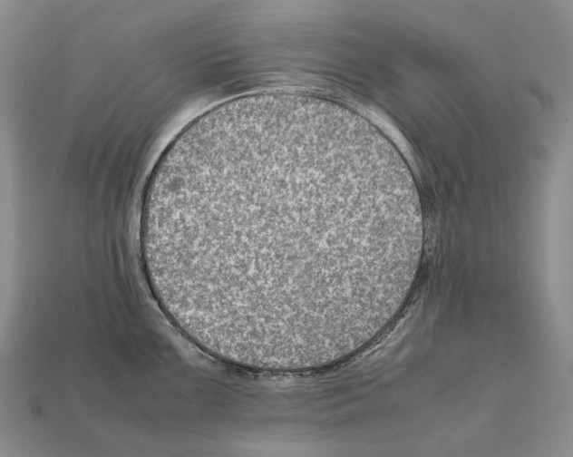 X0000111901099200909071131