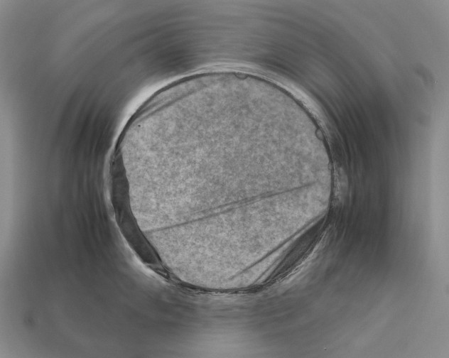 X0000111901102200909071131