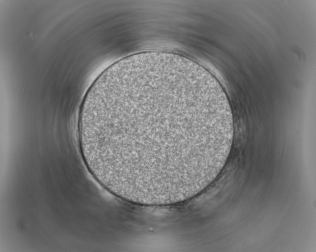 X0000111901103200909071131