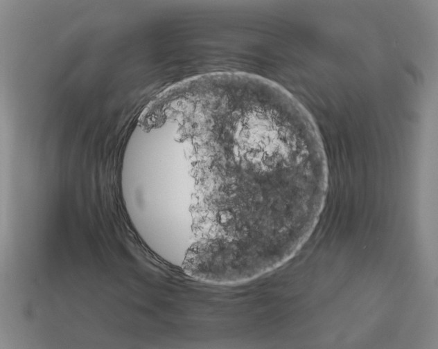 X0000111901106200909071130