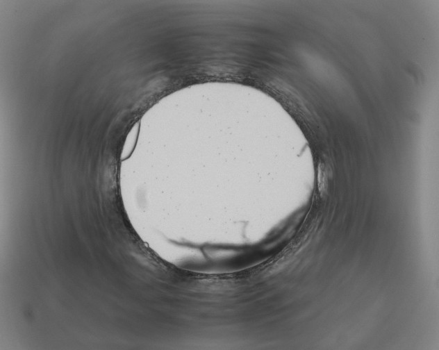 X0000111901107200909071130