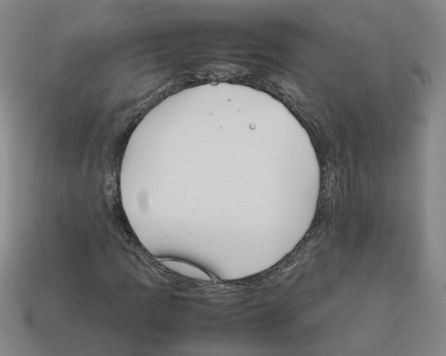 X0000111901109200909071130