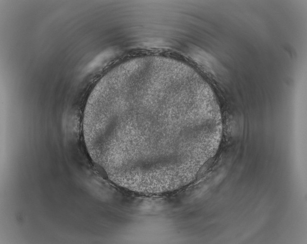 X0000111901110200909071130