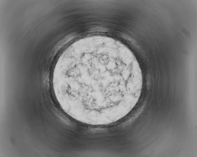 X0000111901113200909071130