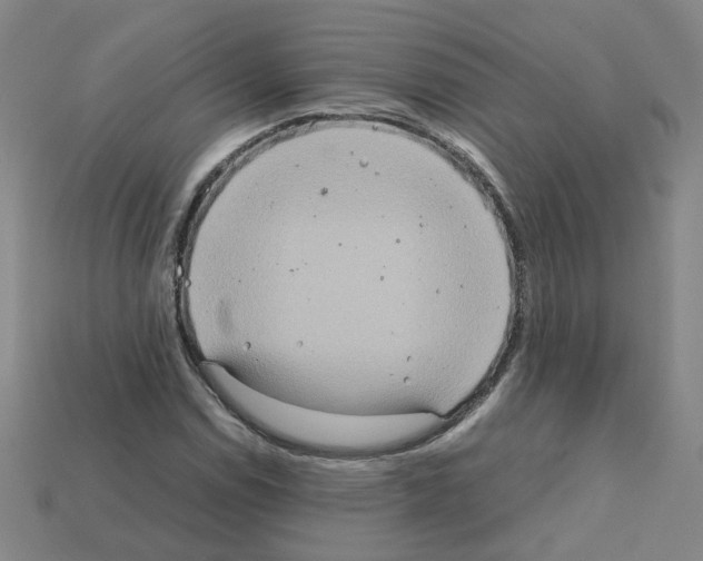 X0000111901114200909071130