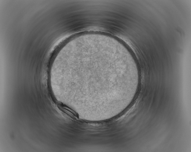 X0000111901115200909071130