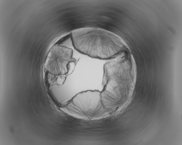 X0000111901117200909071130