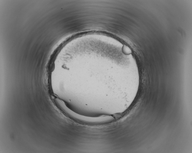 X0000111901118200909071130