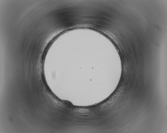 X0000111901119200909071130