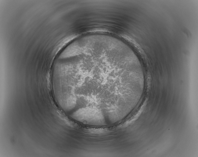 X0000111901121200909071130