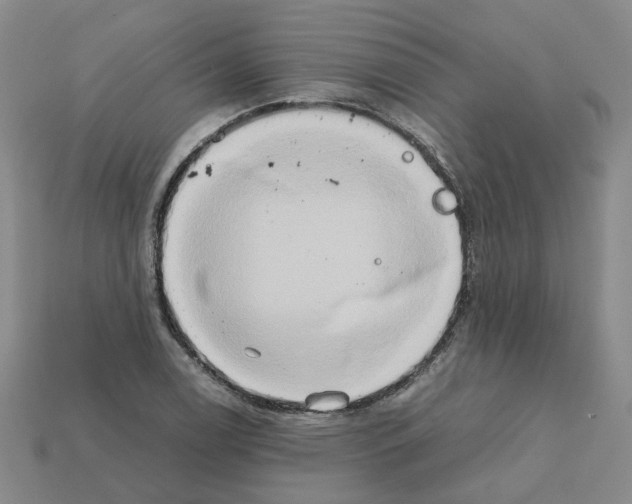 X0000111901122200909071130