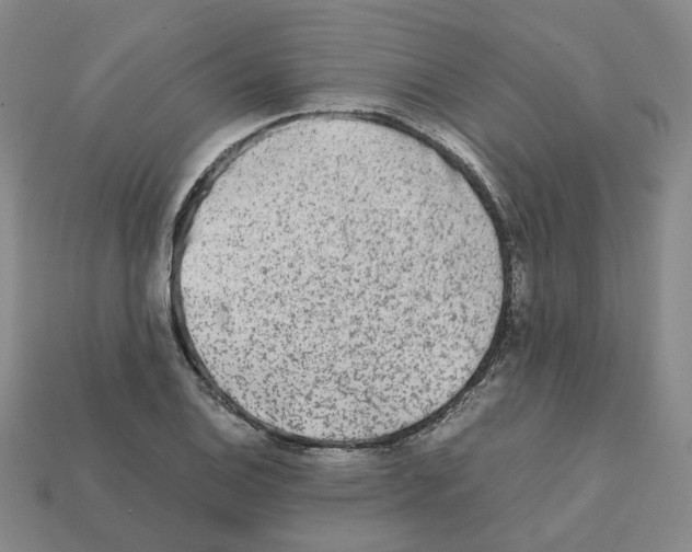 X0000111901124200909071130