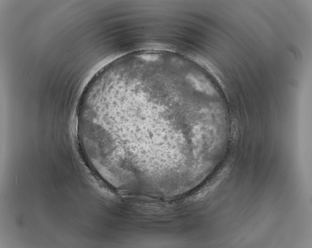 X0000111901125200909071130