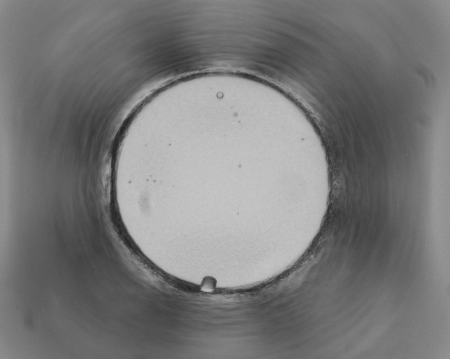 X0000111901126200909071130