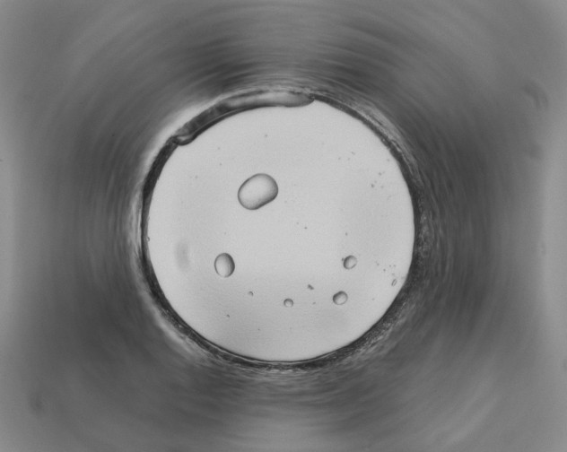 X0000111901128200909071131