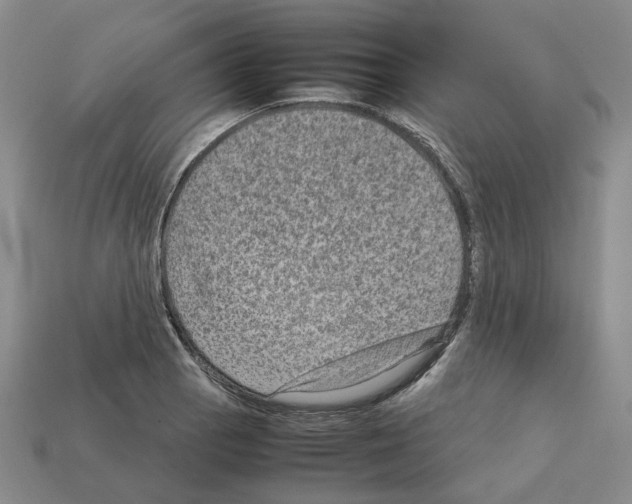 X0000111901129200909071131