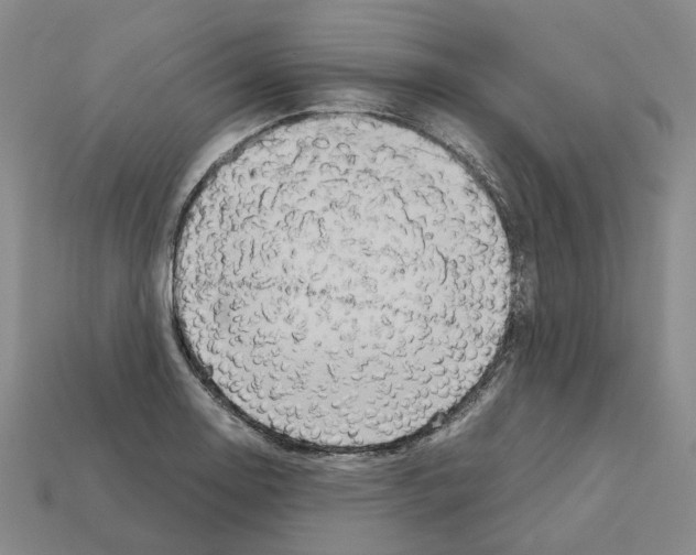 X0000111901130200909071131