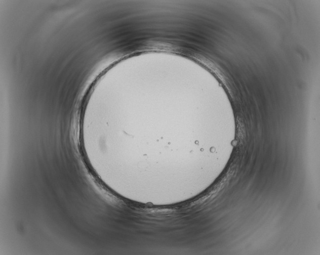 X0000111901131200909071131